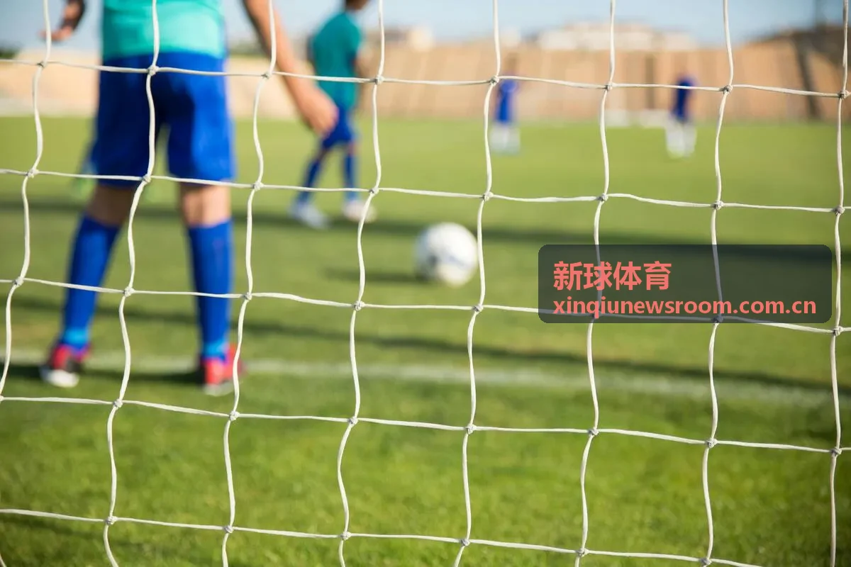 新球体育深度分析 - 世界杯预选赛